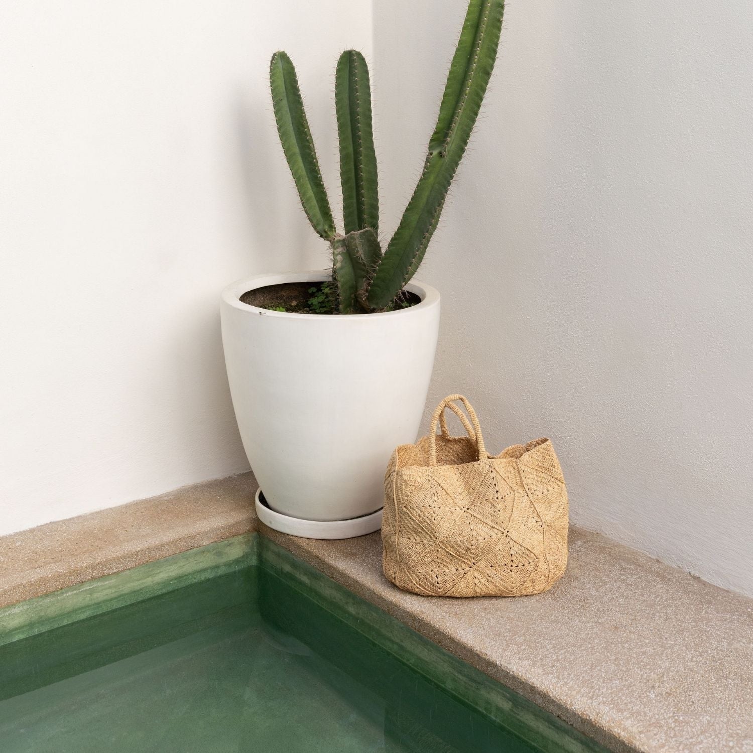 NICO — Handwoven Raffia Tote Bag, Natural - Diazza