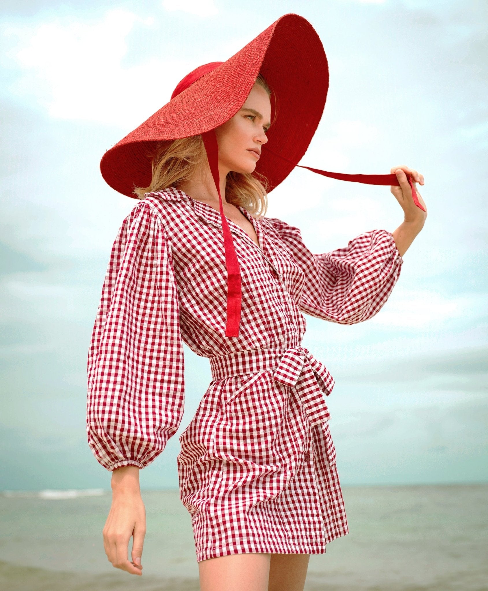 The Meghan Mini Gingham Dress, in Red - Diazza